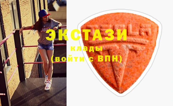 индика Нижний Тагил
