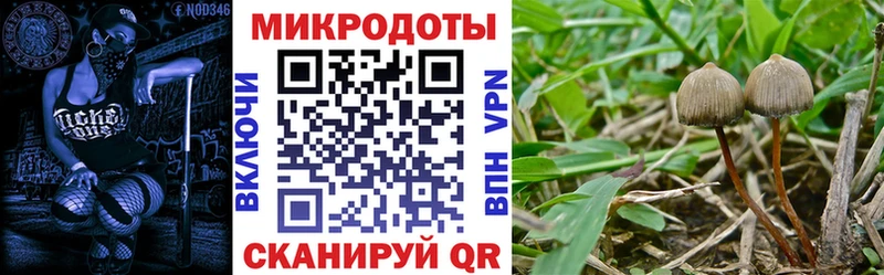 Псилоцибиновые грибы ЛСД  даркнет официальный сайт  Юрюзань 